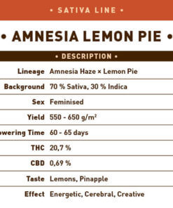 Amnesia Lemon Pie2