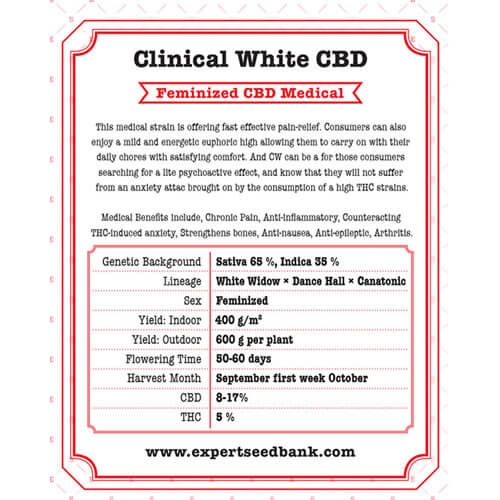 Clinical White CBD1