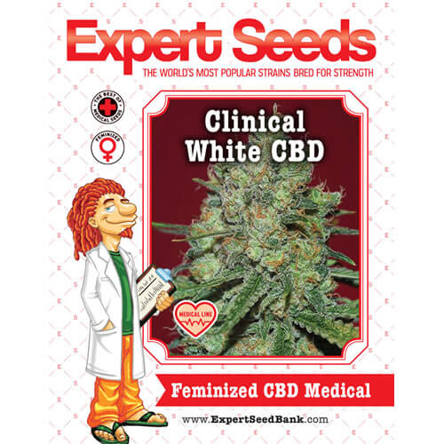 Clinical White CBD2