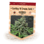 Cookies N Cream Auto Girl Scout Cookies Auto x Cream Caramel Auto Cannabis Seeds Garden of Green