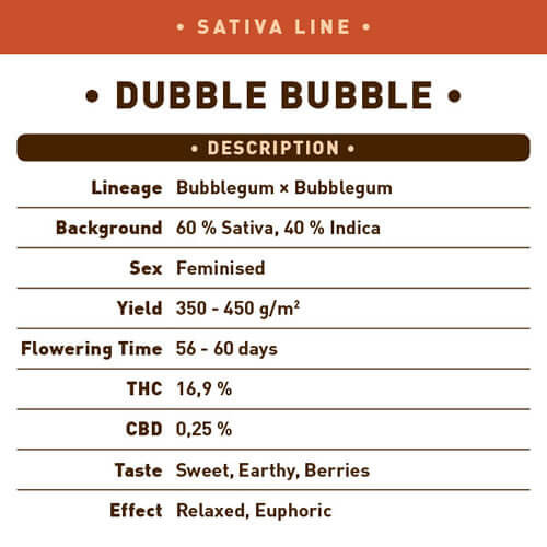 Dubble Bubble1