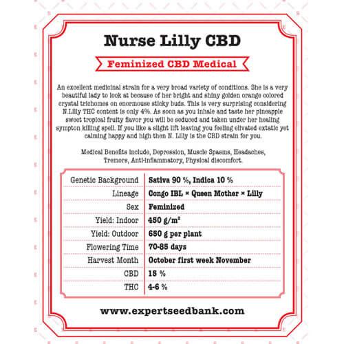 Nurse Lilly CBD2