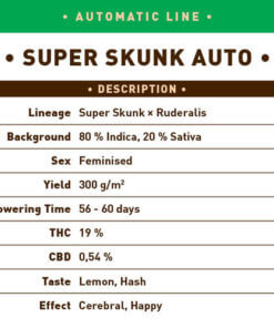 Super Skunk Auto1 1
