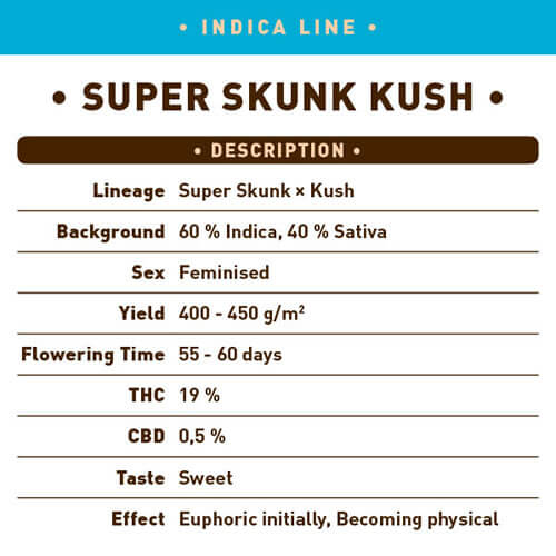 Super Skunk Kush1