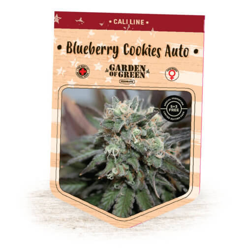 blueberrycoockie