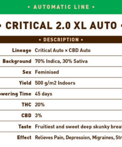 Critical 2.0 XL Auto1