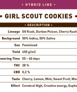 Girl Scout Cookies1