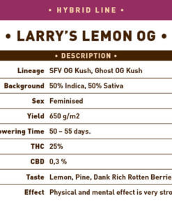 Larrys Zitrone OG1