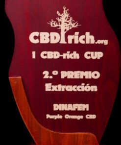 Dinafem-Purple_Orange_CBD-CBD_Cannabis_Seeds-Irish-Seed-Bank