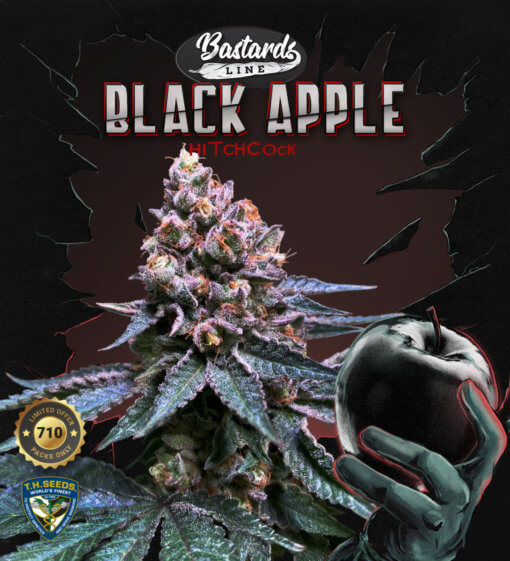 t.h.seeds black apple hitchcock 710 promo 4