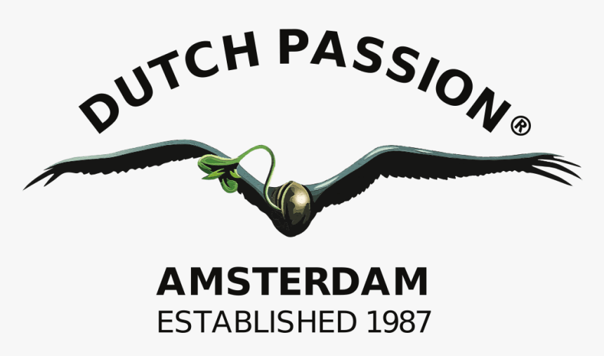 391 3918211 dutch passion seeds logo hd png download