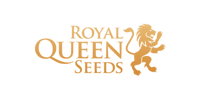 royal queen seeds