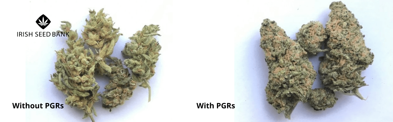 why use PGRs when growing