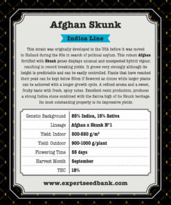 Afgan Skunk back 1