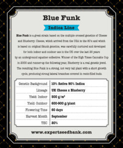 Blue Funk atrás 1