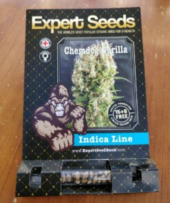 Chemdog Gorilla Expert Seeds 15 packs