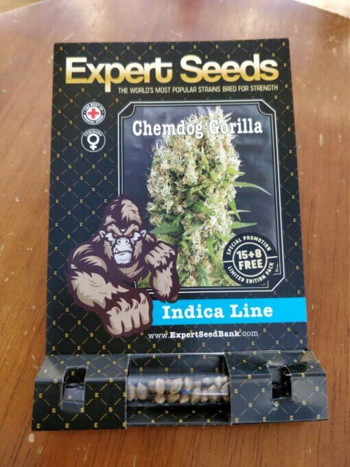 Chemdog Gorilla Expert Seeds Paquete de 15