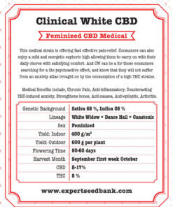Clinical White CBD back
