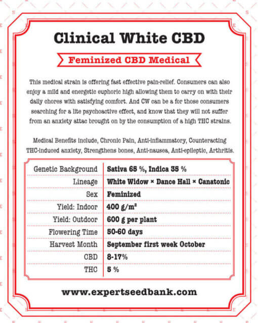 Clinical White CBD back