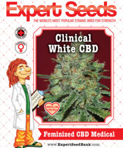 Clinical White CBD front
