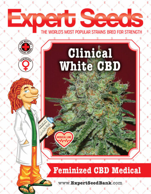 Clinical White CBD front