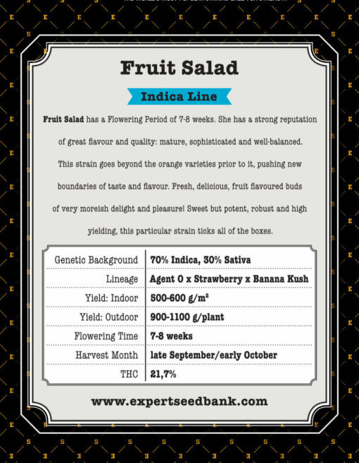 Fruit Salad back 2 1