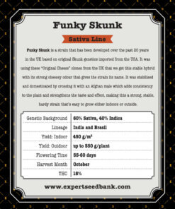 Funky Skunk atrás 1