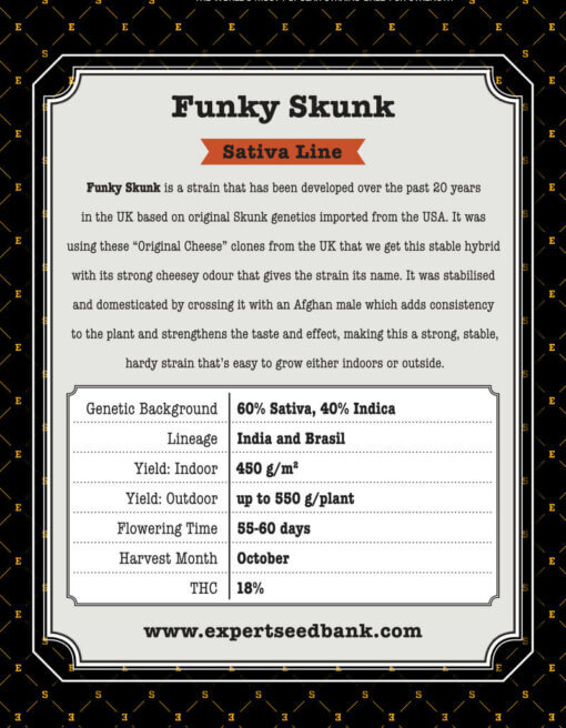 Funky Skunk atrás 1