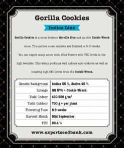 Gorilla-Kekse zurück 1