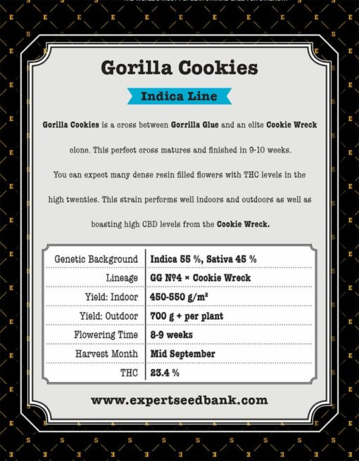 Gorilla Cookies back 1