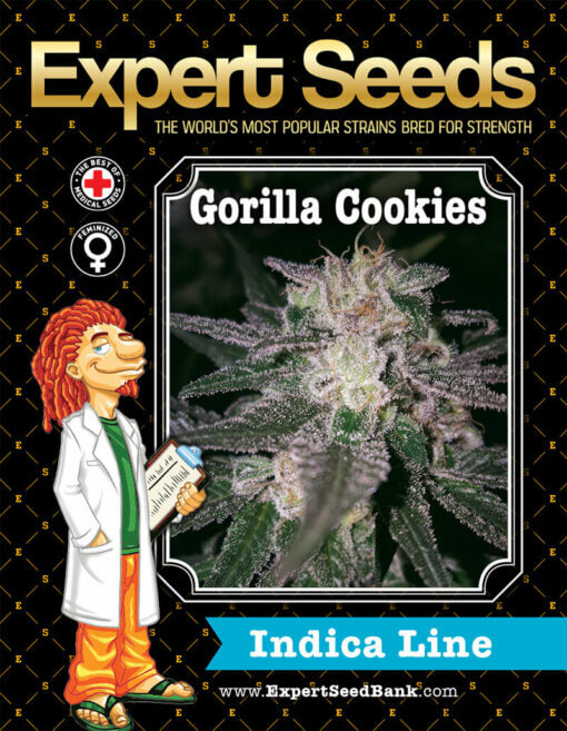 Gorilla Cookies front 1