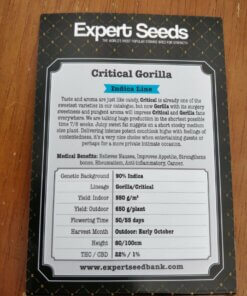 Semillas de Gorilla Critical Expert Pack 2
