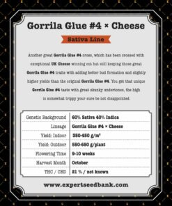 GorrillaGlue4 Cheese back 1