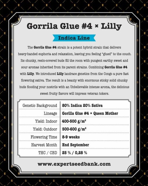 GorrillaGlue4 Lilly atrás 1