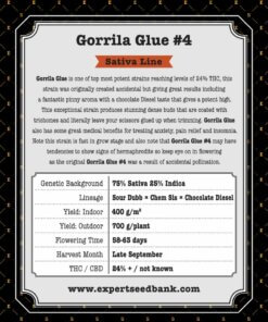 GorrillaGlue4 z powrotem 1 1