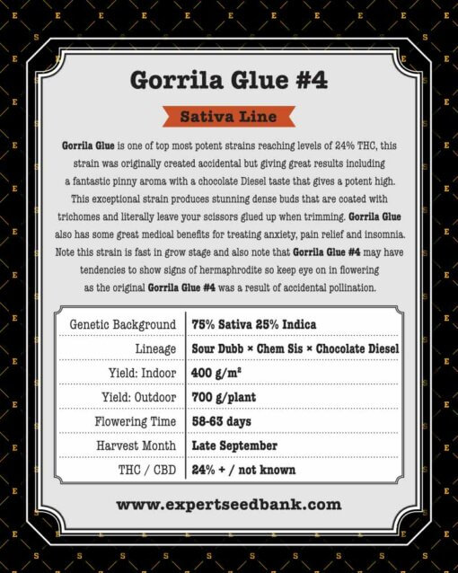 GorrillaGlue4 volver 1 1