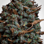 Super Lemon Haze