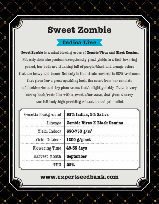 Sweet Zombie back 1 1