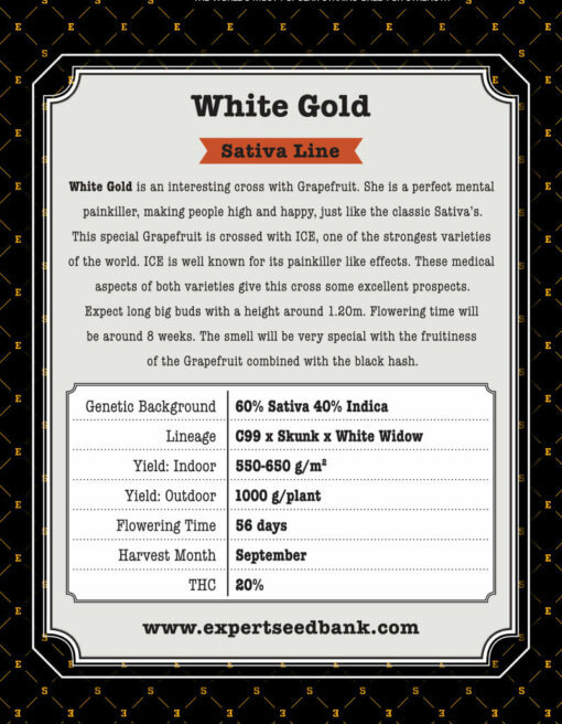 White Gold back 1 1