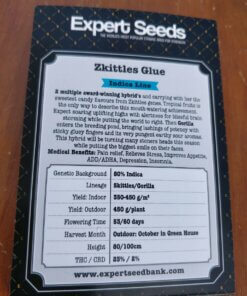 Zkittlez Glue Expert Seeds 1