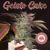 Gelato cake
