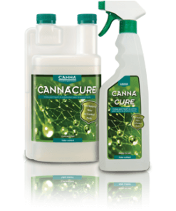Canna Cure