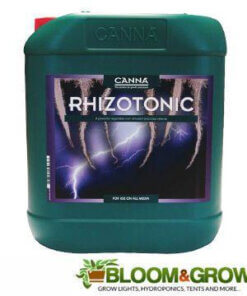 Canna - Rhizotonic
