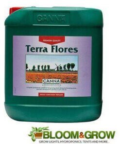 Canna Terra Flores