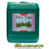 Canna Terra Vega