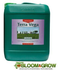 Canna Terra Vega