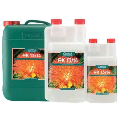 Canna PK 13/14 - Image 2