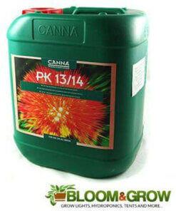 Canna PK 13/14