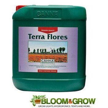Canna Terra Flores