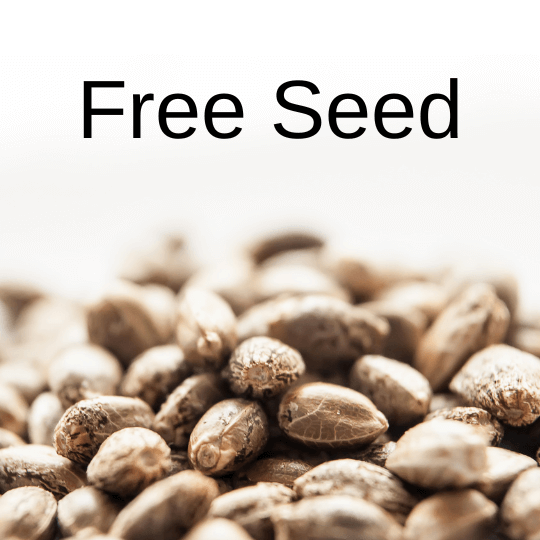 Free Weed Seed